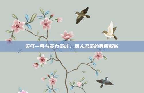 英红一号与英九茶叶，两大名茶的异同解析