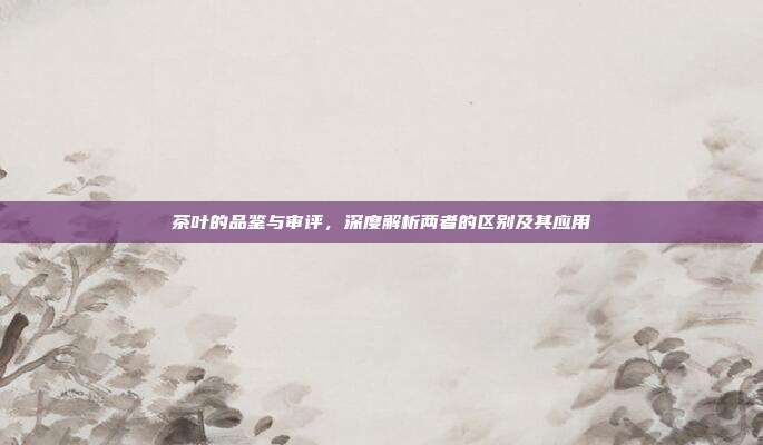 茶叶的品鉴与审评，深度解析两者的区别及其应用
