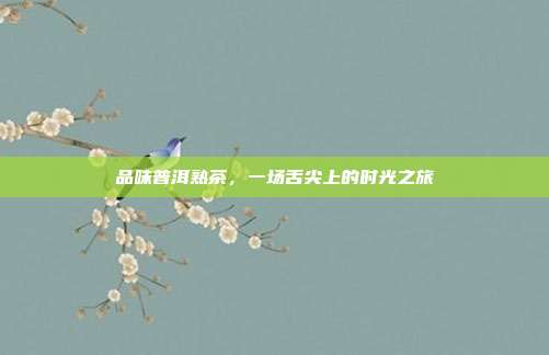 品味普洱熟茶，一场舌尖上的时光之旅
