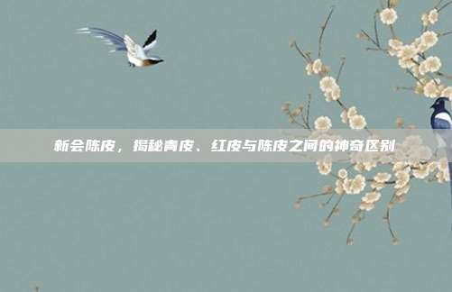 新会陈皮，揭秘青皮、红皮与陈皮之间的神奇区别