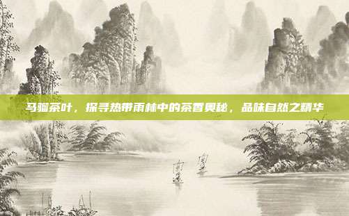 马骝茶叶，探寻热带雨林中的茶香奥秘，品味自然之精华
