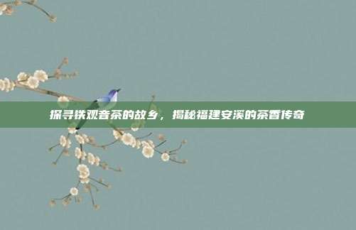 探寻铁观音茶的故乡，揭秘福建安溪的茶香传奇