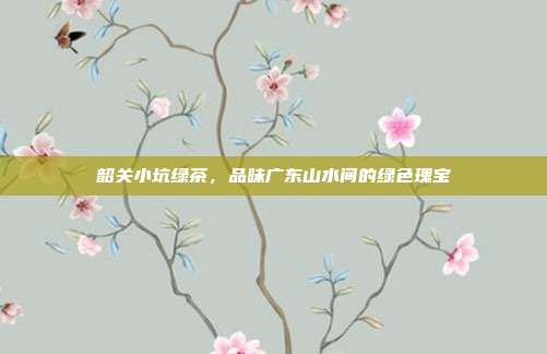韶关小坑绿茶，品味广东山水间的绿色瑰宝