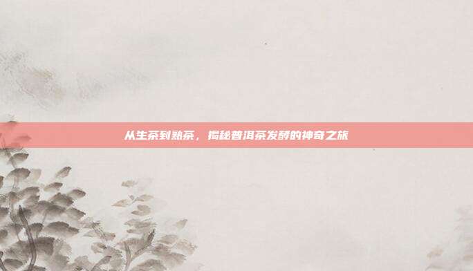 从生茶到熟茶，揭秘普洱茶发酵的神奇之旅