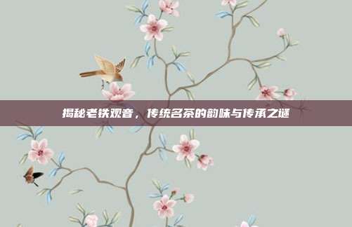 揭秘老铁观音，传统名茶的韵味与传承之谜
