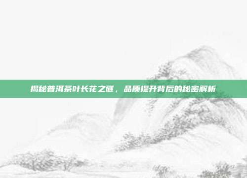 揭秘普洱茶叶长花之谜，品质提升背后的秘密解析