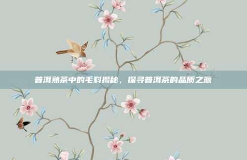 普洱熟茶中的毛料揭秘，探寻普洱茶的品质之源