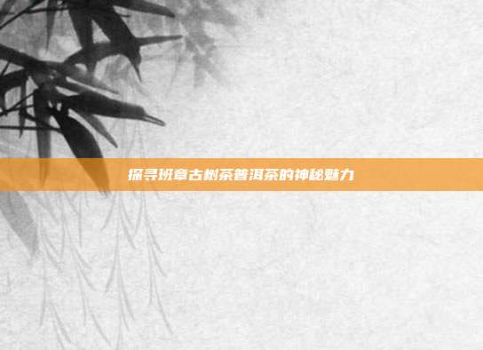 探寻班章古树茶普洱茶的神秘魅力