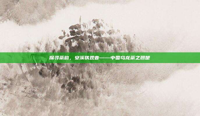 探寻茶韵，安溪铁观音——中国乌龙茶之翘楚