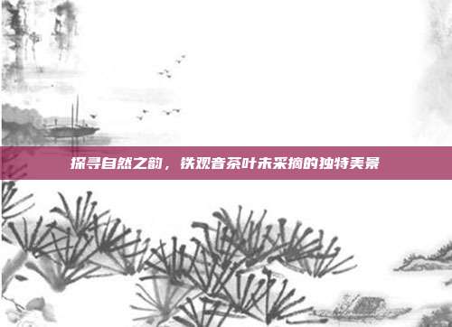 探寻自然之韵，铁观音茶叶未采摘的独特美景