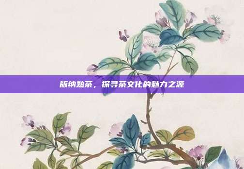 版纳熟茶，探寻茶文化的魅力之源