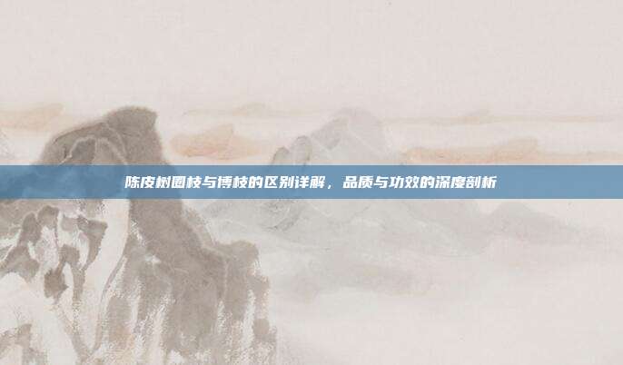 陈皮树圈枝与博枝的区别详解，品质与功效的深度剖析