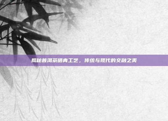 揭秘普洱茶晒青工艺，传统与现代的交融之美