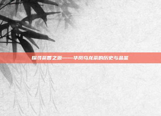 探寻茶香之源——华岗乌龙茶的历史与品鉴
