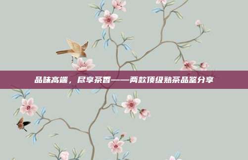 品味高端，尽享茶香——两款顶级熟茶品鉴分享