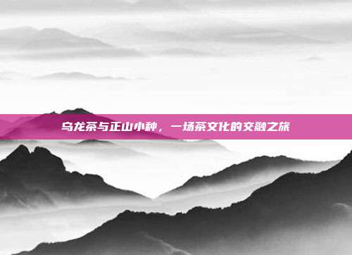 乌龙茶与正山小种，一场茶文化的交融之旅