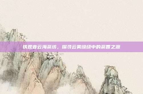 铁观音云海茶坊，探寻云雾缭绕中的茶香之源
