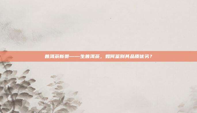 普洱茶新贵——生普洱茶，如何鉴别其品质优劣？